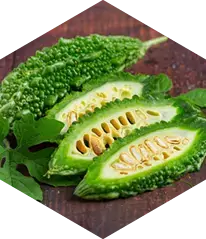 Bitter melon ingredient often studied for blood sugar balance
