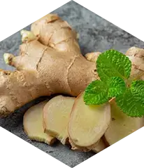 Ginger root traditionally used for circulation and digestive wellness